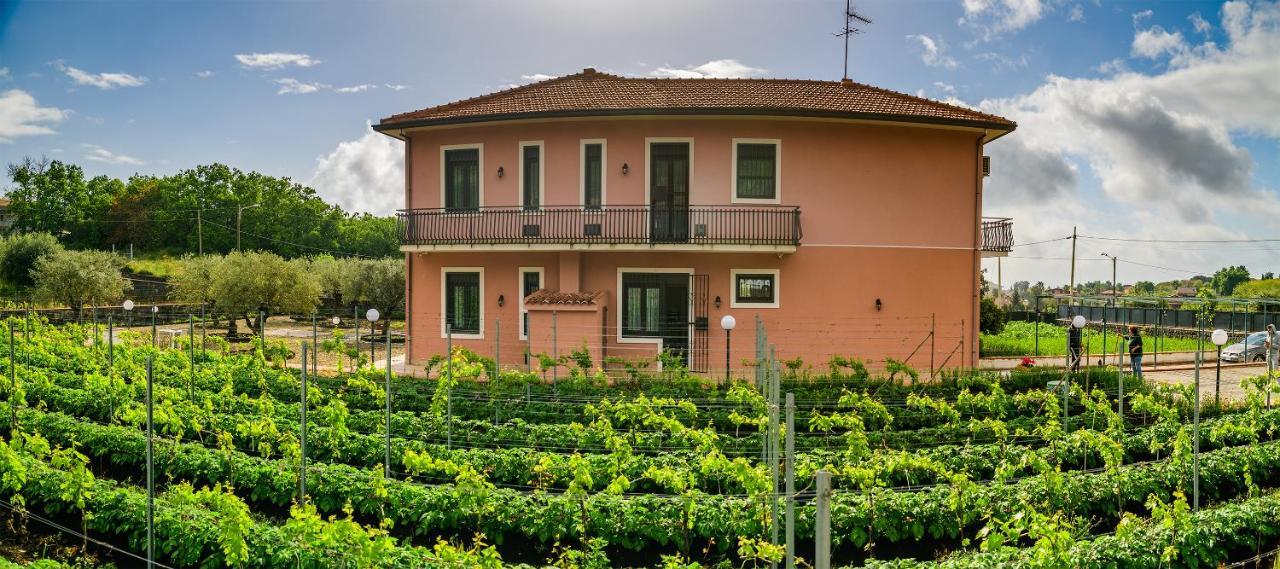 Bee Happy - Bed And Breakfast Zafferana Etnea Luaran gambar