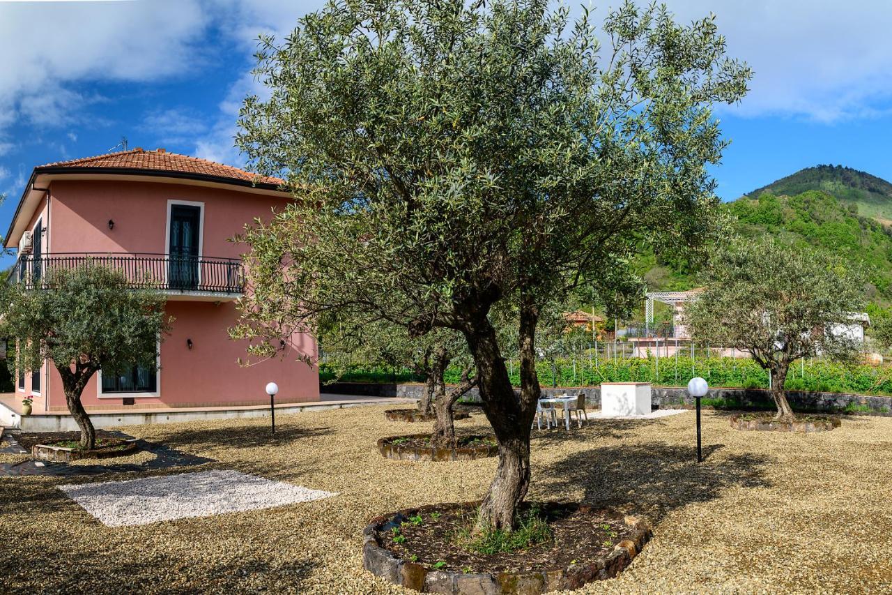 Bee Happy - Bed And Breakfast Zafferana Etnea Luaran gambar