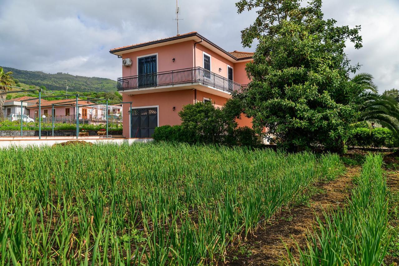 Bee Happy - Bed And Breakfast Zafferana Etnea Luaran gambar
